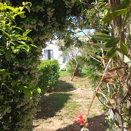 Li Curti B&B Melissano Ngoại thất bức ảnh