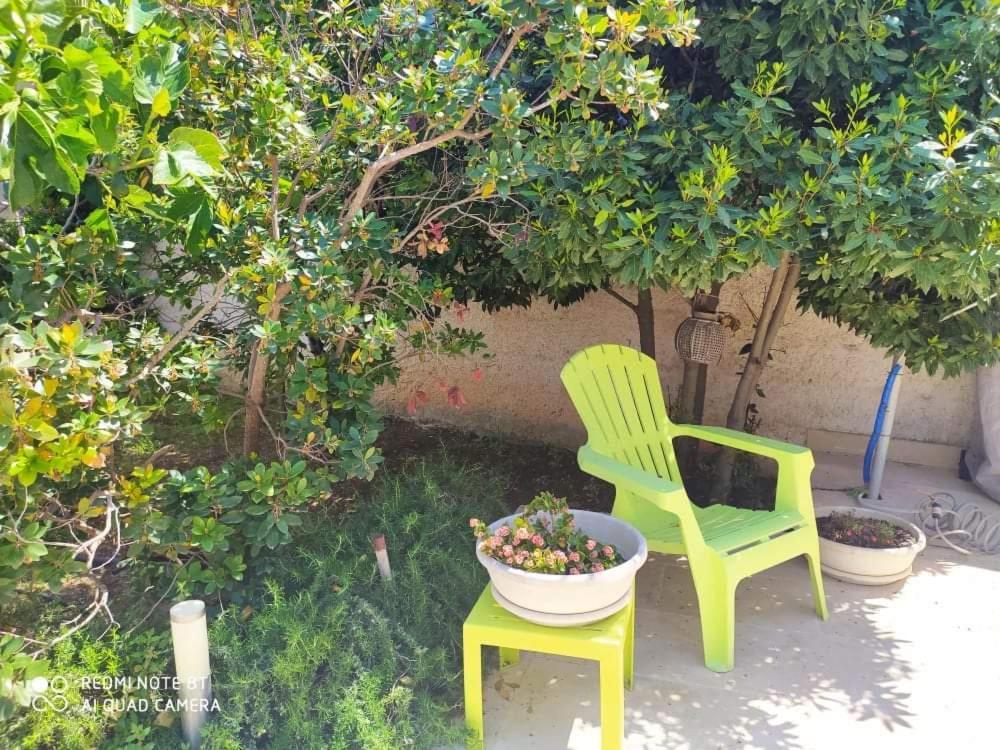 Li Curti B&B Melissano Ngoại thất bức ảnh