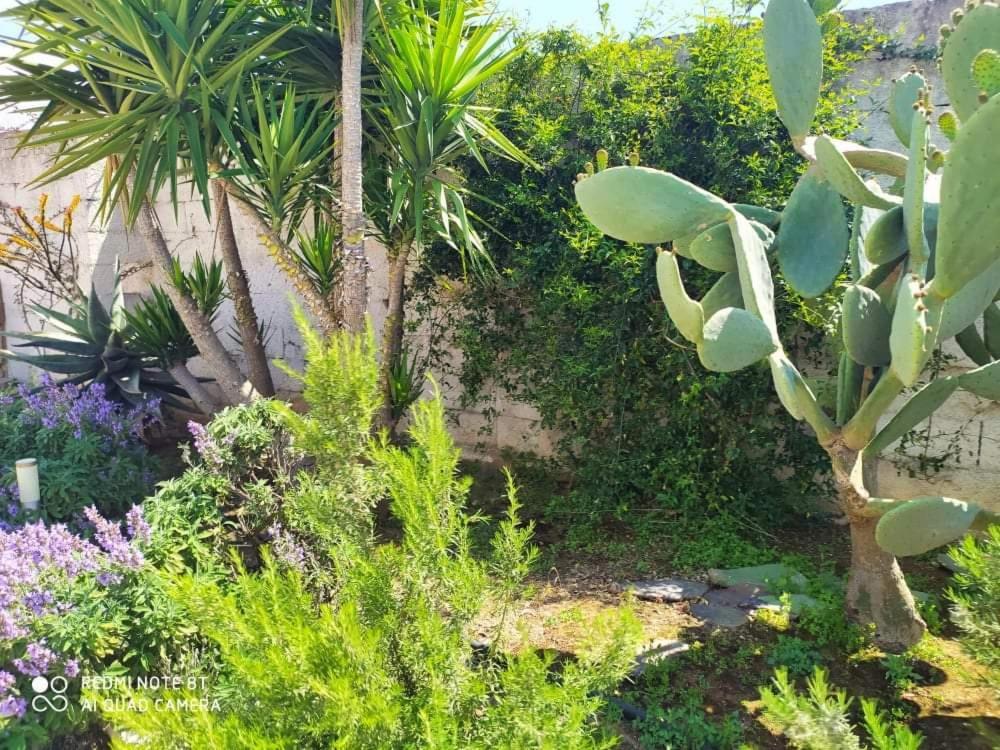 Li Curti B&B Melissano Ngoại thất bức ảnh