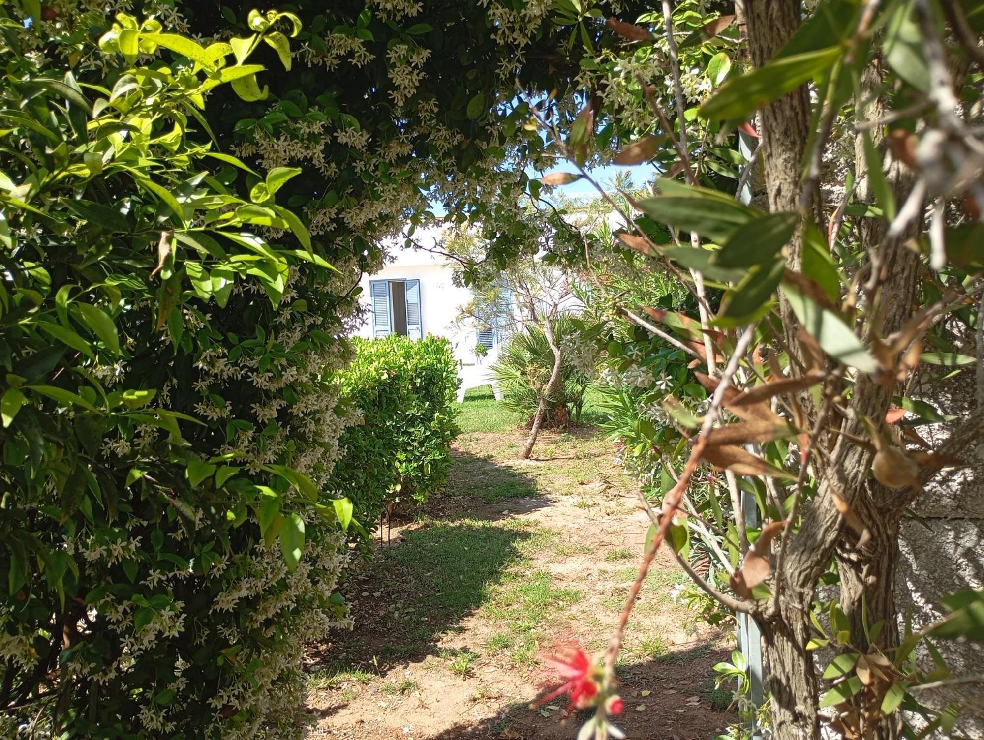 Li Curti B&B Melissano Ngoại thất bức ảnh