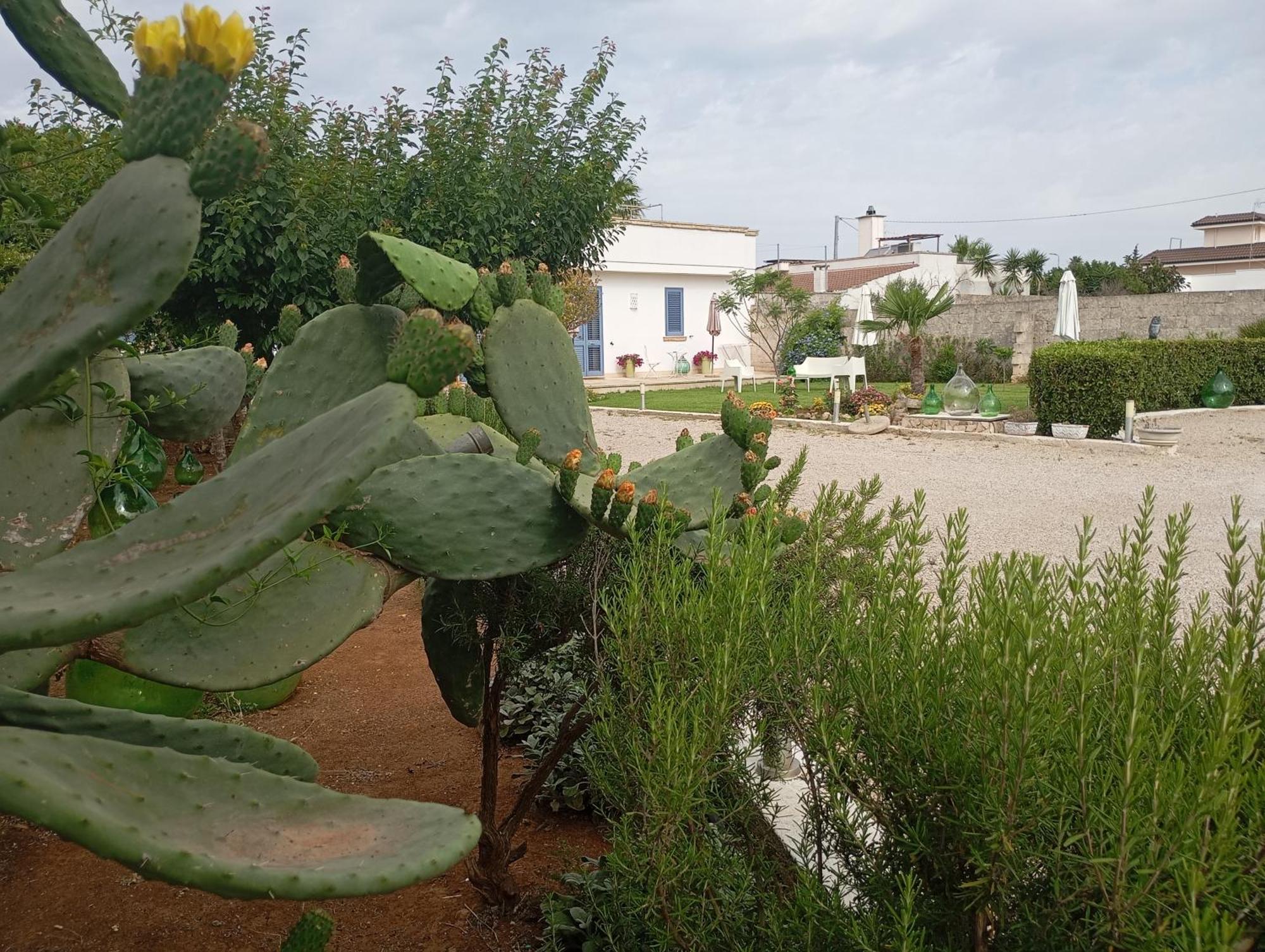 Li Curti B&B Melissano Ngoại thất bức ảnh
