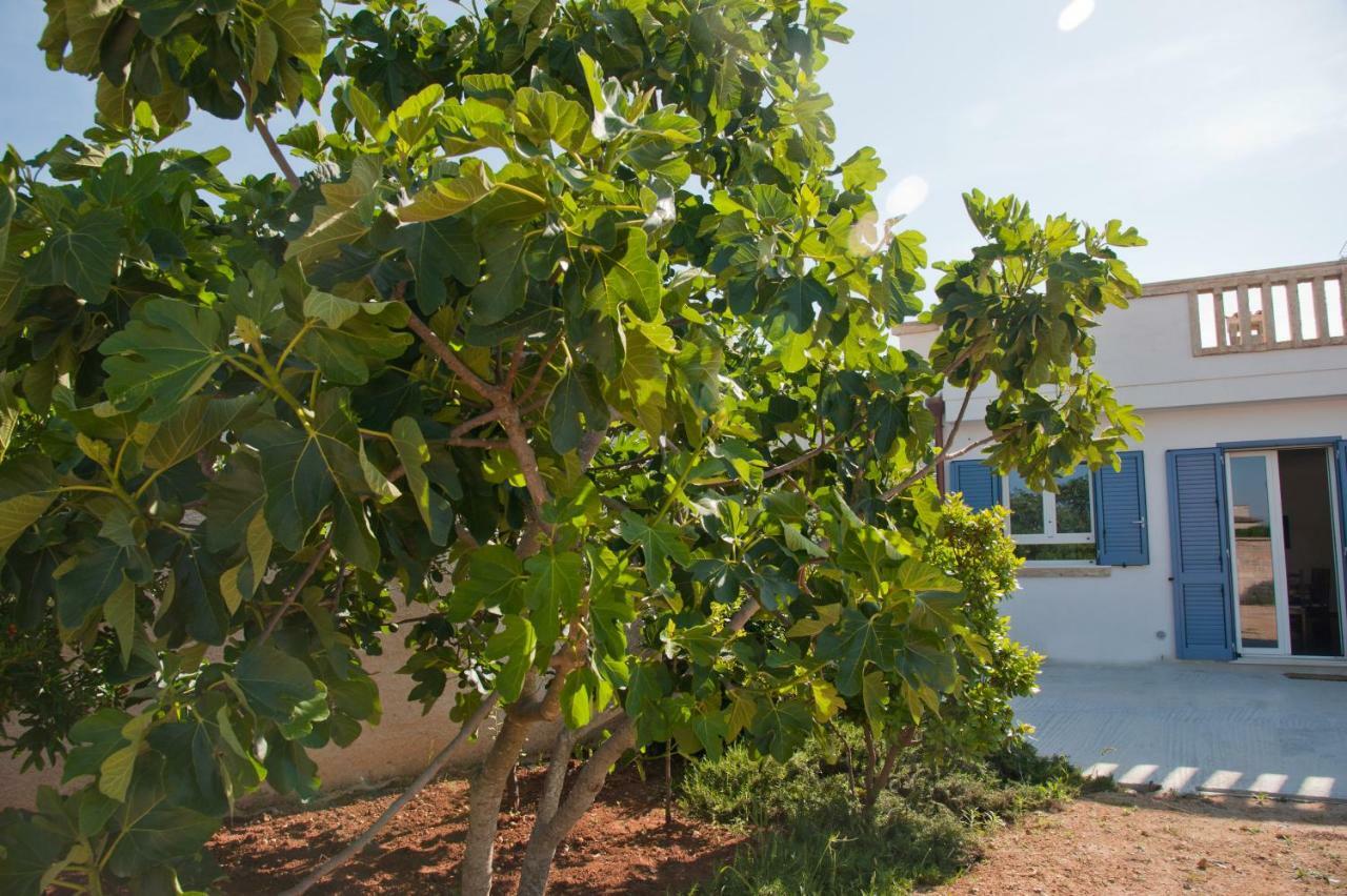 Li Curti B&B Melissano Ngoại thất bức ảnh