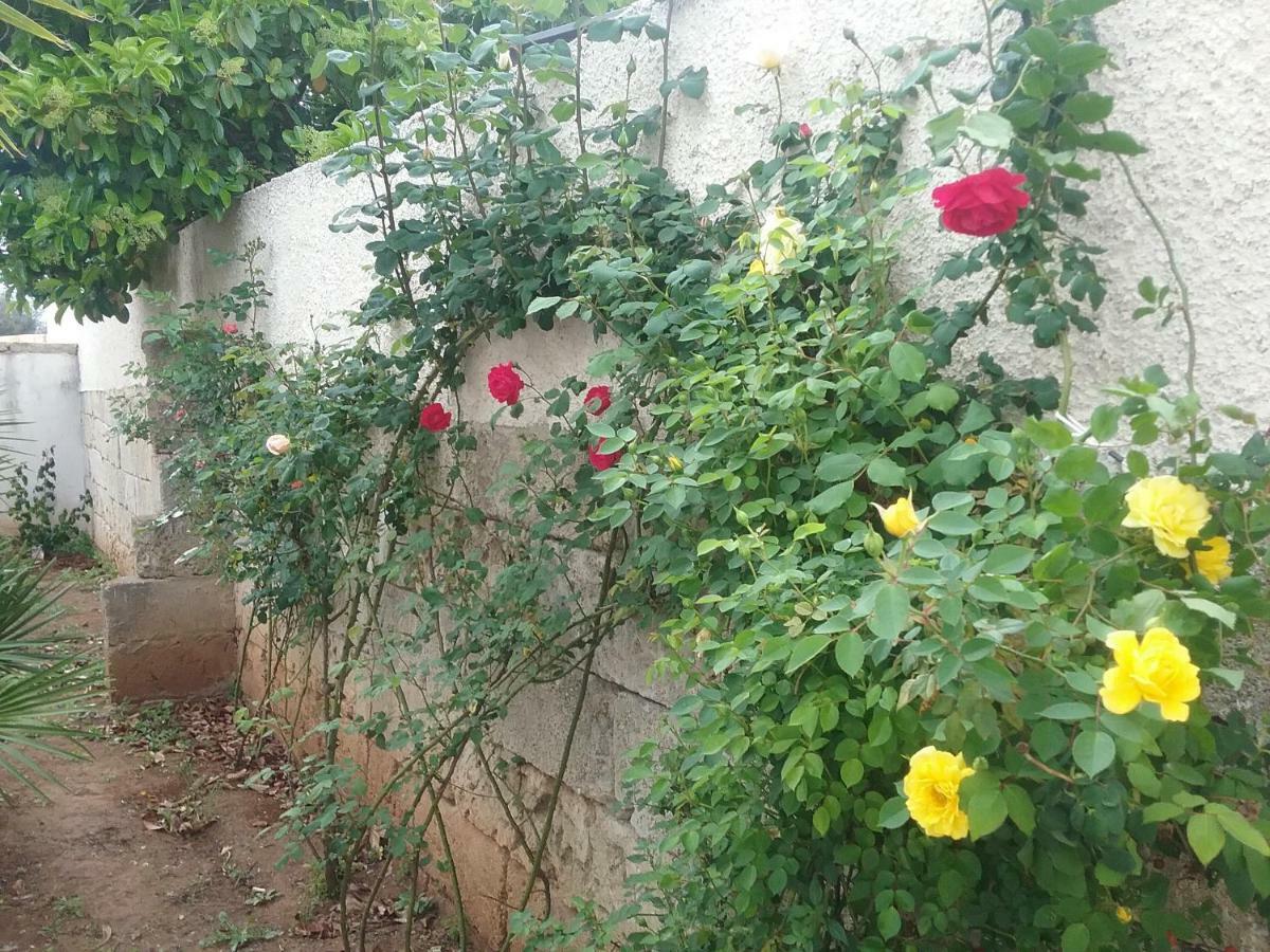 Li Curti B&B Melissano Ngoại thất bức ảnh