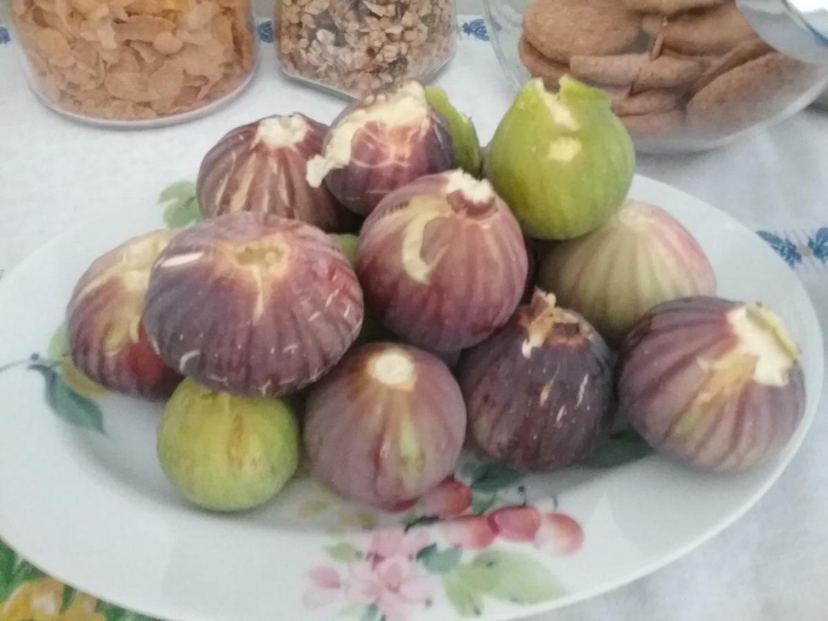Li Curti B&B Melissano Ngoại thất bức ảnh