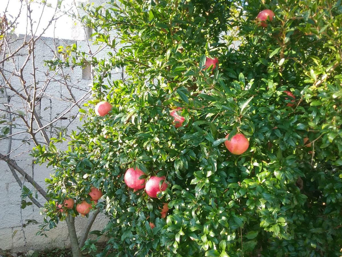 Li Curti B&B Melissano Ngoại thất bức ảnh
