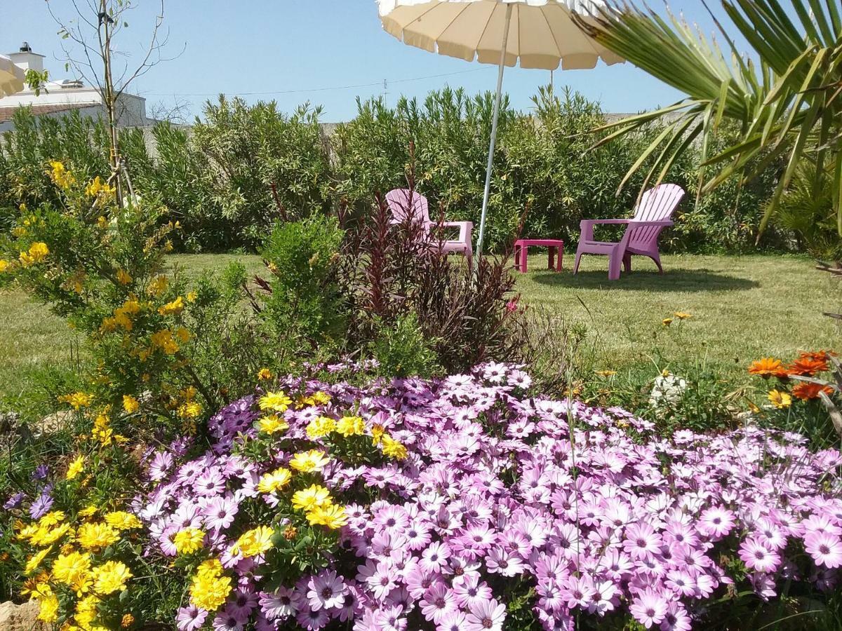 Li Curti B&B Melissano Ngoại thất bức ảnh